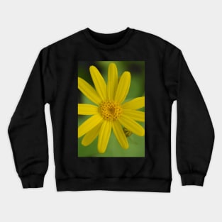 Heartleaf Arnica Crewneck Sweatshirt